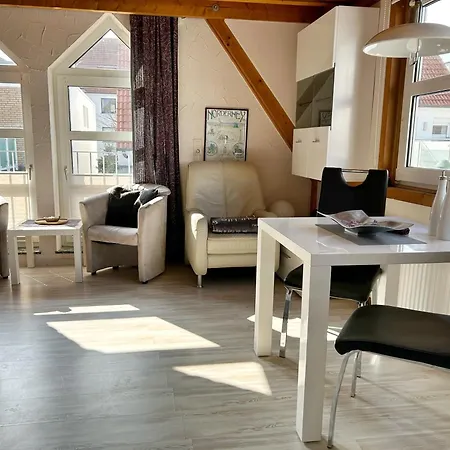 Haus Kiebitzsteert Kiebitzsteert, Seehund Norderney